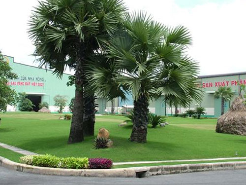 Cung cấp cây xanh