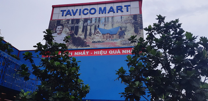 Thi công công ty Tavico