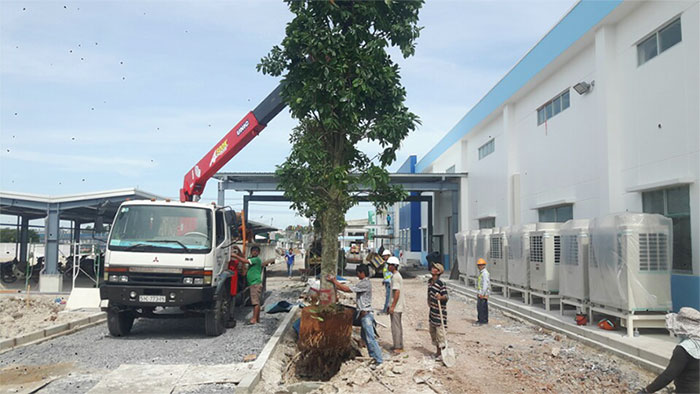 Thi công công ty Tín Thuận Phát