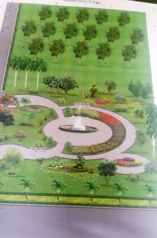 Construction of water plant park