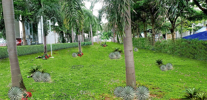 Thiết kế  thi công cảnh quan công ty Ô tô Honda